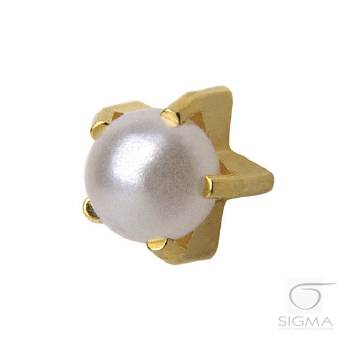 Studex perła biała złota pazurki średnia