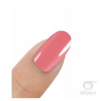 Gel Polish UV&LED Baked Apple H310 8g