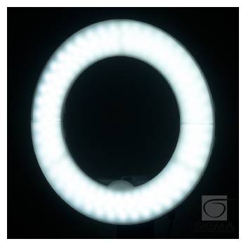 Lampa Light Ring 12" 35W LED biała + statyw