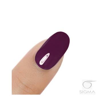 Gel Polish UV&LED Plum Jam H042 8g