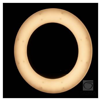 Lampa Light Ring 18" 48W LED biała + statyw