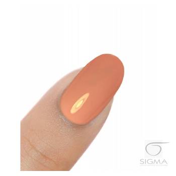 Gel Polish UV&LED Dynamic Peach H262 8g