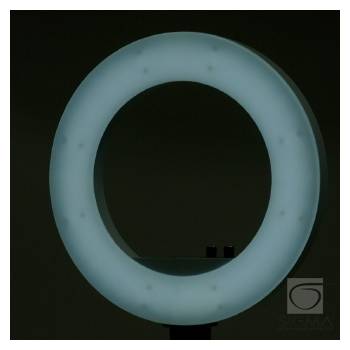 Lampa Light Ring 18" 48W LED biała + statyw