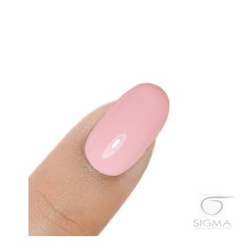 Gel Polish UV&LED Bouquet of Roses H046 8g