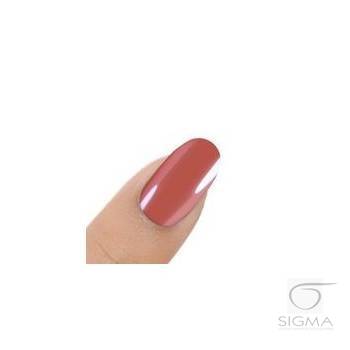 Gel Polish UV&LED Soil Brick H286 8g