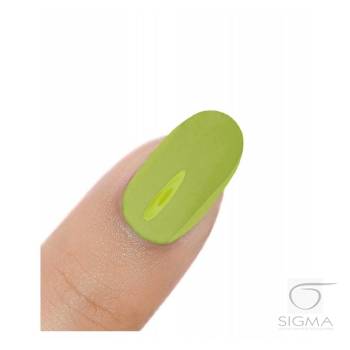Gel Polish UV&LED Green Journey H264 8g