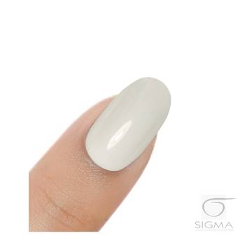 Gel Polish UV&LED Grey Monday H066 8g