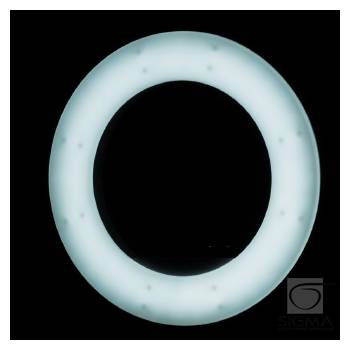 Lampa Light Ring 18" 48W LED biała + statyw