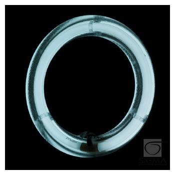 Lampa Light Ring 12" 35W Fluoresce biała + statyw